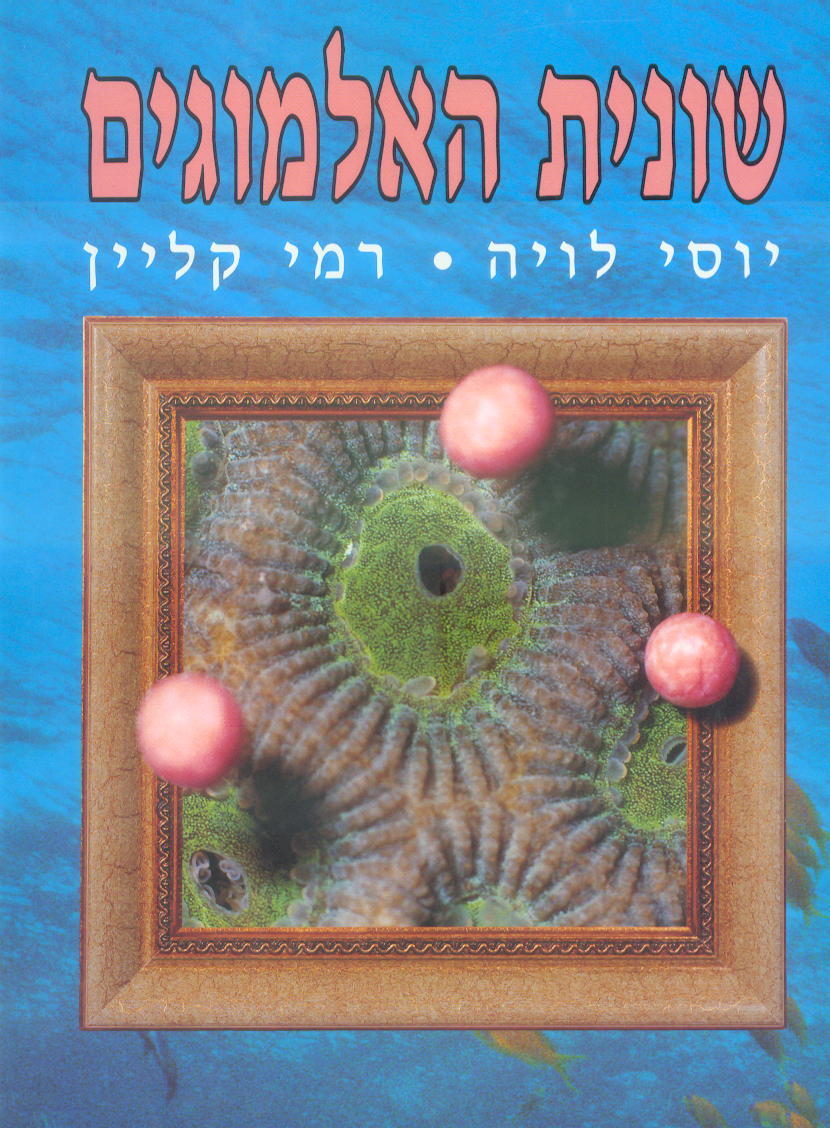 רמי קליין, הרצאות וצילומים מהים